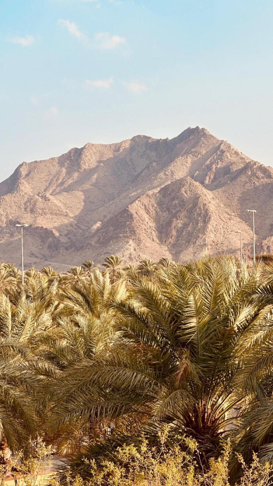 Hatta Retreat Private Pool Wadi Hub For Activities 외부 사진